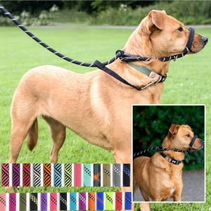 Bozal ligero antimordedura con correa Combo ajustable cuerda de entrenamiento para caminar antideslizante correa para perros y gatos accesorio para mascotas para perros - Product Image 6