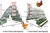 Cage à poules pondeuses en couches de type A pour l'Afrique, cage à poulets pondeuses, cage à poulets de chair, cage à poulets tunnel
