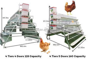 Jaula para Gallinas Ponedoras <span class=keywords><strong>de</strong></span> Tipo A, Jaula para Aves <span class=keywords><strong>de</strong></span> Corral, Jaula Túnel para Pollos, Venta al <span class=keywords><strong>por</strong></span> <span class=keywords><strong>Mayor</strong></span> en África - Product Image 4