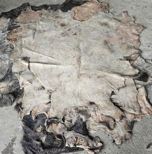 Standard Grade Double Faced Wet Salted Buffalo Hides and Cowhides <b>Raw</b> Animal <b>Skin</b> for Mass Market Leather Goods - Product Image 6