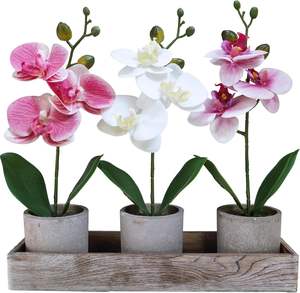 Ensemble de 3 petites orchidées artificielles en pot, arrangement dans une jardinière en céramique, écologique, avec trou de drainage, pour la maison, le bureau ou le bureau à domicile - Product Image 1