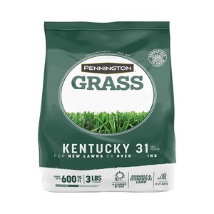 <span class=keywords><strong>Erba</strong></span> Sintetica Garden 31 Tall Fescue, Rivestimento in Plastica Moderno da 3 lb per Uso a Pavimento - Product Image 1
