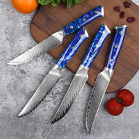 Ensemble de couteaux à steak en acier Damas VG10 de 5 pouces de haute qualité 67 couches avec manche en résine couteau utilitaire de cuisine de style oriental