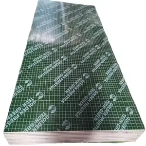 Linyi Atacado 4x8 18mm Folha de madeira compensada de plástico PP Verde marinho para concreto