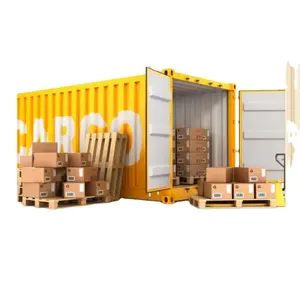 Cheapest International Forwarder Door To Door Service DDP Ddu DHL Air Freight To USA UK Canada Mexico Fedex Shipping Agent