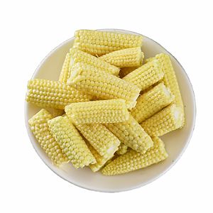 איכות פרימיום מפעל-ישיר שימורי תירס באיכות גבוהה יצוא מוצר באיכות גבוהה מ-ואקום חינם מדגם מחיר תחרותי - Product Image 1