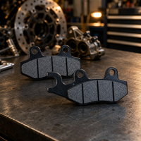 Accessoires de moto FIGHTER-CHENG Plaquettes de frein à disque avant pour TT 250R/DT 230 QEM Pièces de rechange de moto de qualité