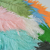 Boîte Cadeau de Fleurs Éternelles Préservées, Matériel DIY, Feuille de Fougère sous Cloche en Verre, Technique de Séchage Naturel, Avantage Prix Usine