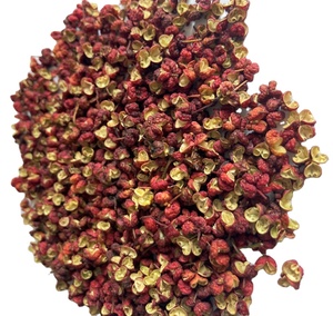 Pimiento 2023 Crop ichuan Ed, pimiento zechuan - Product Image 1