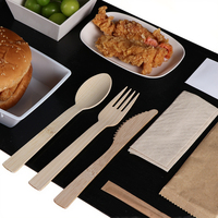 Cuillère jetable biodégradable fourchette couteau ensemble de couverts en bambou pour compagnie aérienne