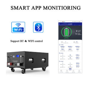Avepower 100Ah 200Ah 300Ah Batería montada en rack 5kwh 10kwh Sistema de energía para el hogar 48V LiFePO4 Paquete de batería - Product Image 5