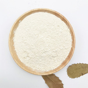 Polvo de Arroz Proteico Integral a Granel con Muestra Gratis - Product Image 1