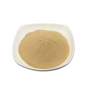 สเปรย์รากชีวภาพสำหรับมันสำ<span class=keywords><strong>ปะ</strong></span><span class=keywords><strong>หลัง</strong></span>และมะเขือเทศ Bacillus subtilis 10พันล้าน cfu/g <span class=keywords><strong>ปุ๋ย</strong></span>อินทรีย์ - Product Image 1