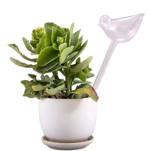 Dispositivo di Irrigazione Automatica per Tulipani, Strumento per Innaffiare per Pigri, Irrigatore a Goccia Stile Rosa, Ausilio per l'Irrigazione di Piante in Vaso, PVC Rosa - Product Image 5