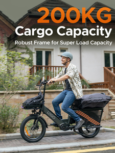 2025 Elektrische Bakfiets <span class=keywords><strong>200Kg</strong></span> Laadvermogen 48V 250W Middenaandrijving Motor 180Km Bereik 20 Inch Elektrische Hybride Fiets Stad Ebike Bici Familie - Product Image 5