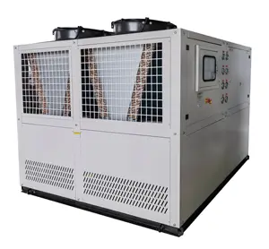 Enfriador de aire de alta eficiencia con capacidad de tanque de acero inoxidable, agua refrigerada utilizada para enfriar moldes