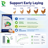 Prémélange pour la ponte précoce : Soutien nutritionnel équilibré pour l'élevage de poulettes, usage agricole et production locale d'aliments.