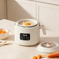 Mini cuiseur à riz intelligent pour 1 à 3 personnes, cuve intérieure en céramique antiadhésive, cuiseur à riz électrique, cuisson rapide, usage domestique
