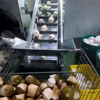 Chaîne de production de lait de coco et d'eau de coco entièrement automatisée