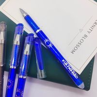 Vente directe d'usine - Stylos neutres effaçables en plastique, pointe de 0,35 mm, encre à base d'eau, lot en vrac - Noir et bleu