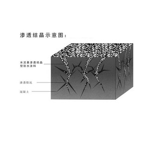 Fábrica CCCW tipo <span class=keywords><strong>cemento</strong></span> pintura impermeable <span class=keywords><strong>cemento</strong></span> capilar cristalino revestimiento impermeable para reparación de techos y paredes - Product Image 6