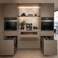 Buffet de salle à manger intégré de style Bauhaus allemand minimaliste avec deux fours intégrés pour penthouse moderne