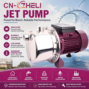 Pompe à jet fiable 1 CV avec protection <span class=keywords><strong>thermique</strong></span> contre les surcharges 220V 60Hz, <span class=keywords><strong>auto</strong></span>-<span class=keywords><strong>amorçante</strong></span>, pour usage résidentiel aux Philippines CE CB - Product Image 1