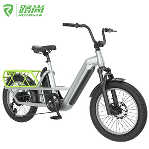 Vélo électrique <span class=keywords><strong>cargo</strong></span> pour adultes, moteur sans balais 750W, batterie au lithium, cadre en alliage d'aluminium, autonomie de 80 km, pour hommes et femmes, voyages en plein air - Product Image 1