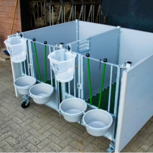 5-6주령 소를 위한 신형 농장 이중 송아지 우리, 열침지 도금 강철 프레임 - Product Image 2