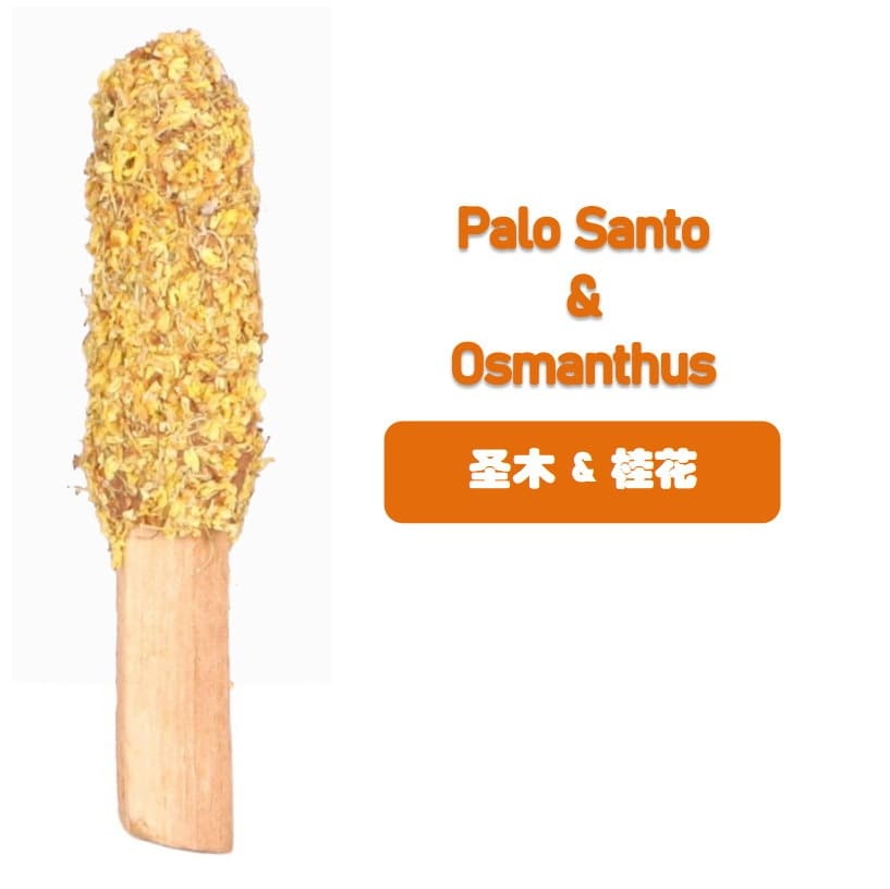 Palo Santo Osmanthus