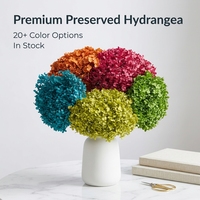 Fleur séchée éternelle d'hortensia Anna stabilisée à la glycérine 50-60cm – Décoration de Thanksgiving et de mariage – Écologique – Vente en gros pour fleuristes