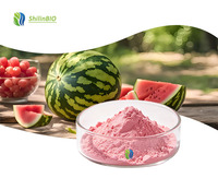 Poudre d'extrait de melon d'eau de qualité alimentaire SLBIO, extraite par solvant, disponible en emballage fût et bouteille