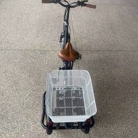 3 Tekerlekli Elektrikli Bisiklet, 24V/36V Lityum Pil, 250W/350W Çelik Gövde, 6 Vitesli Fırçasız Motor, 20 İnç Tekerlekler