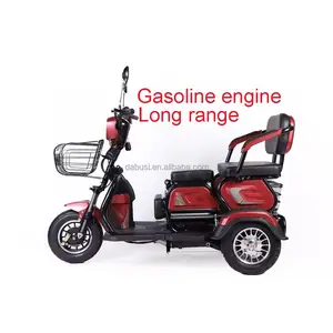 Neues Modell benutzer definierte 49cc 80c Gas Dreirad Benzinmotor motorisierte Dreirad Trike Roller für Erwachsene Passagier