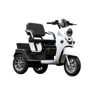 <span class=keywords><strong>Migliori</strong></span> <span class=keywords><strong>Moto</strong></span> Elettriche da Strada con Motore ad Alta Tensione 48V 1000W-2000W, Velocità 45-55KM/H per Prestazioni Ottimali - Product Image 6