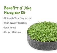 Kit de jardinage d'intérieur personnalisé sac de culture dégradable pour culture de légumes et de plantes hydroponiques pour pépinière