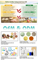 Poudre de protéines enzymatiques de qualité alimentaire Lanchen VitaAD |   Additif alimentaire mixte du Shandong, oligo-éléments pour favoriser une nutrition saine