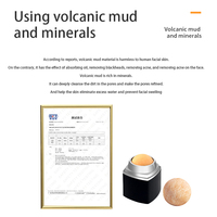 Rouleau facial en pierre volcanique naturelle avec garantie de 1 an Outil de soin de la peau réutilisable pour l'absorption d'huile et les soins du nez