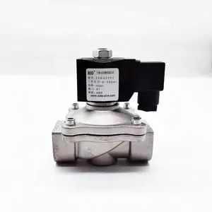 220V Normally Open 2W Stainless Steel Solenoid Valve Water Solenoid Valve