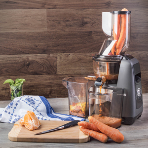 Extracteur de jus lent commercial de haute qualité pour fruits et smoothies, idéal pour la vente en gros - Product Image 4