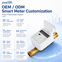 Compteur de débit industriel numérique à ultrasons en laiton/plastique IP68 compatible 4G NB-IoT Mbus Zigbee LoRaWAN sans valve