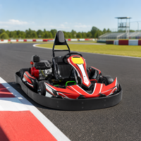 Kart Eléctrico para Pista de Entretenimiento Comercial con Radio de Giro de 2 m, Batería de Litio de 72 V y 40 A, Opciones Multicolores
