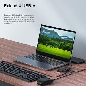 Hub USB 2.0 en Oferta, Multifuncional 4 en 1, Estación de Conexión Tipo C, Hub USB-C de 4 Puertos para Computadora Portátil y PC, en Stock - Product Image 5