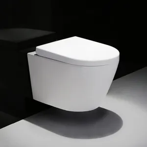 European Standard Wall Mounted Ceramic Rimless Hangend Toilet Wall-hung Toilet Wall Hung Toilet