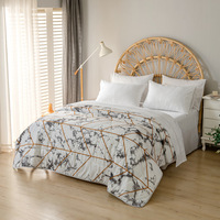 Ensemble de literie 3 pièces en fibres synthétiques brossées, géométrique, moderne et minimaliste, pour Wish et AliExpress (vente transfrontalière)