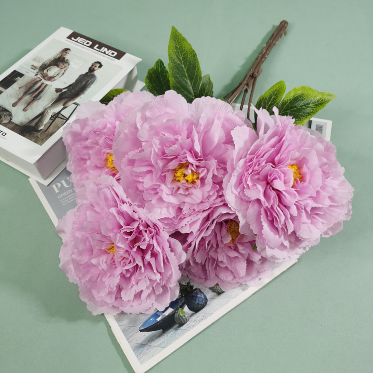 Rose violet