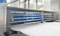 Máquina Industrial para Hacer Galletas de Soda con Control PLC, Línea de Producción de Galletas Sandwich Orgánicas con Crema