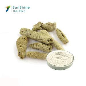 Specidy-Polvo de esponjas, 99.51%, spinila, sprilis SQT, biomicroagujas - Product Image 3