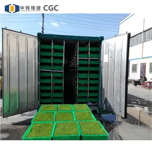 CGCH con conservazione del calore ed effetto idratante piantagione tridimensionale 20ft 40ft case prefabbricate facile da montare