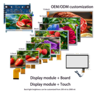 OEM TFT LCD 4.3 5 5.5 7 8 9 10.1 pouces Mipi MCU RGB petits modules d'affichage à écran tactile LCD Ips